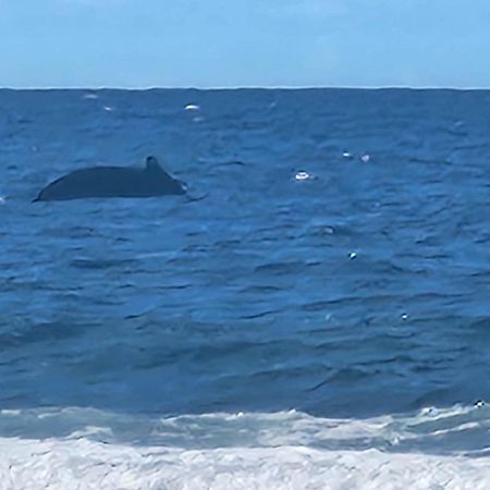 Moorea Temae Bungalow Lory Bord De Mer Esterno foto