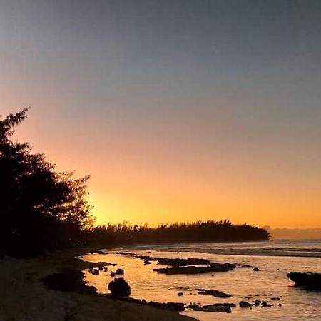 Moorea Temae Bungalow Lory Bord De Mer Esterno foto