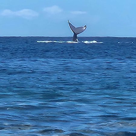 Moorea Temae Bungalow Lory Bord De Mer Esterno foto