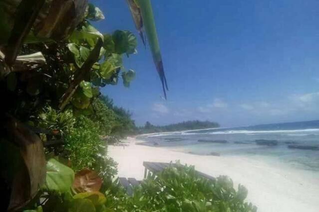 Moorea Temae Bungalow Lory Bord De Mer Esterno foto
