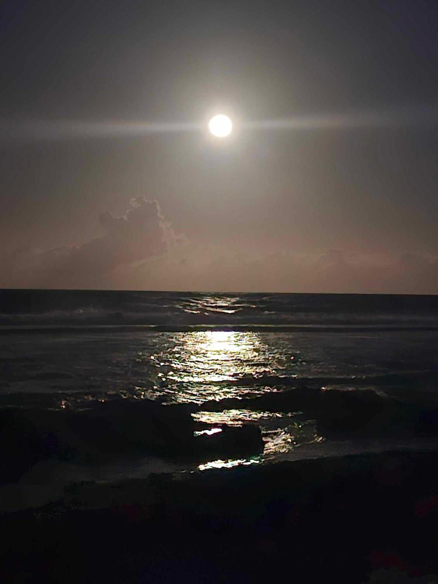 Moorea Temae Bungalow Lory Bord De Mer Esterno foto