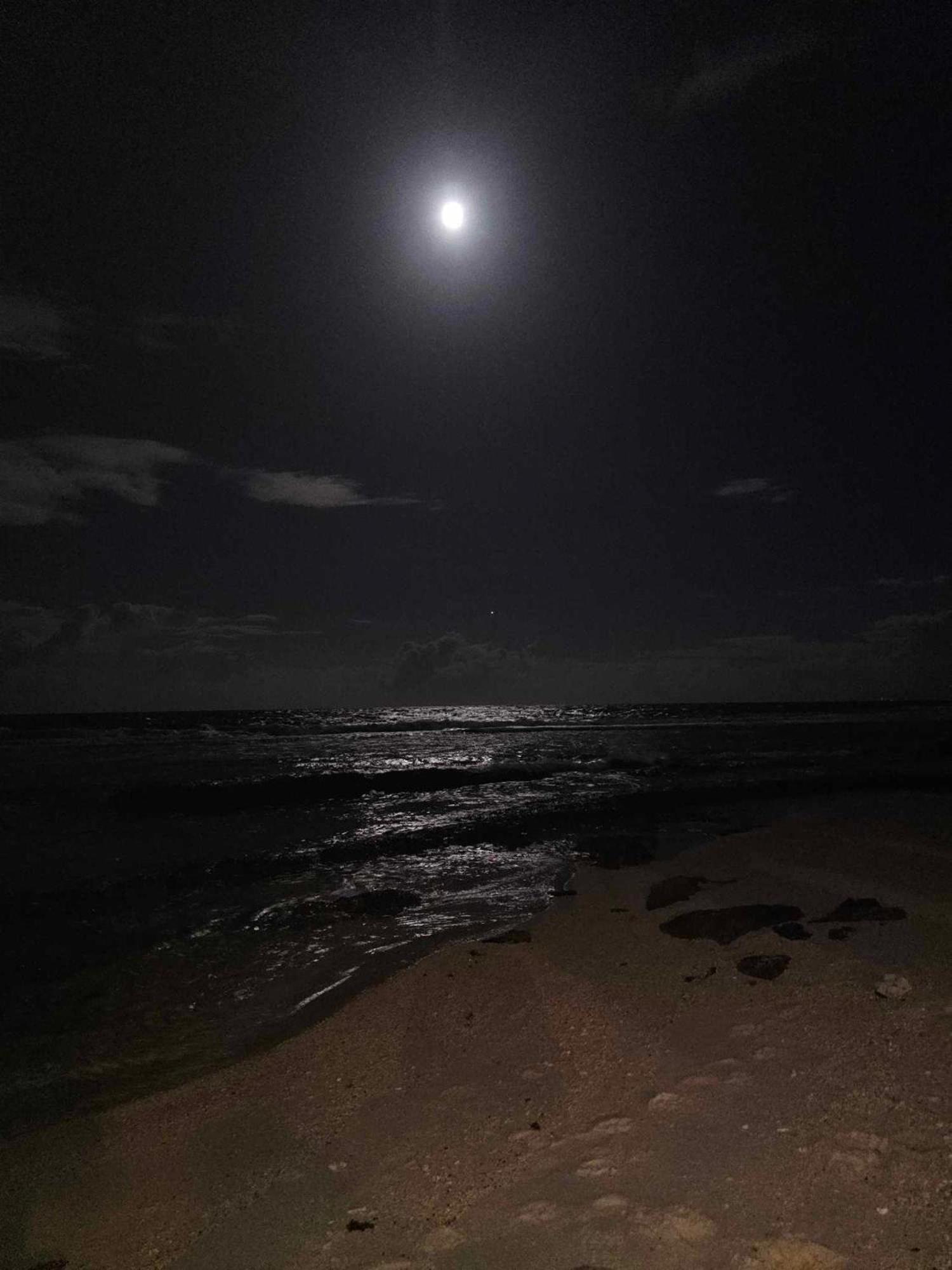 Moorea Temae Bungalow Lory Bord De Mer Esterno foto